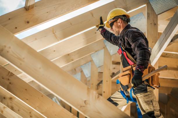Best Roof Gutter Cleaning  in Trinity, NC
