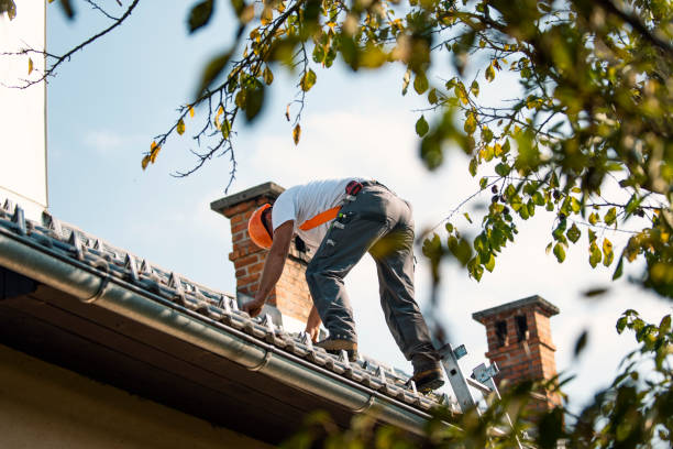 Best Roof Replacement Cost  in Trinity, NC