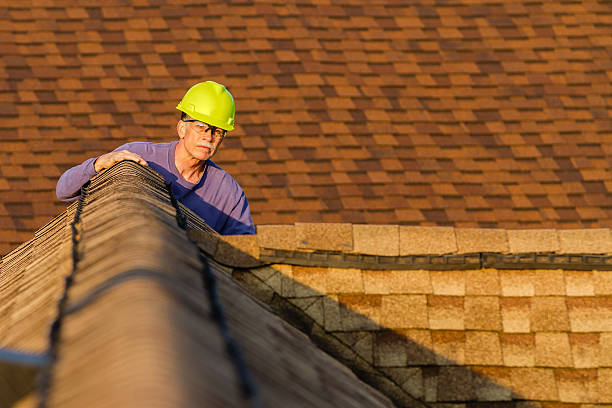 Roof Gutter Cleaning in Trinity, NC