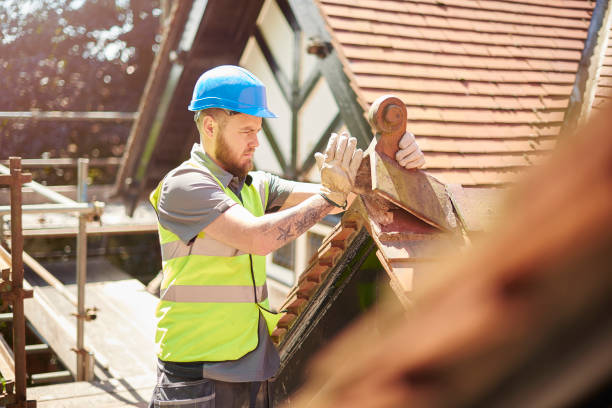 Best Gutter Installation and Roofing  in Trinity, NC