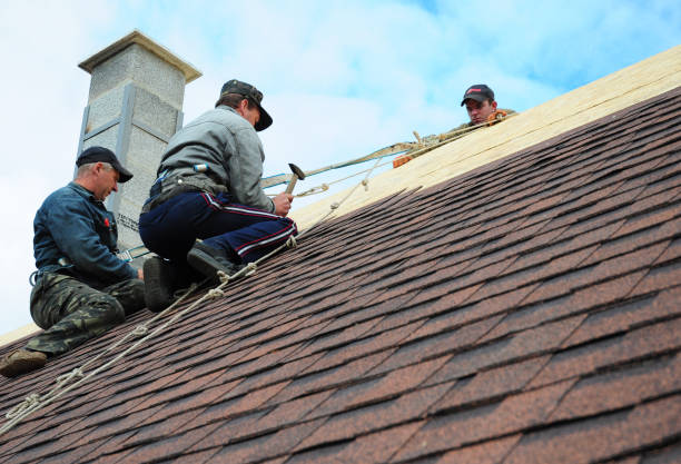 Professional Roofing Contractor in Trinity, NC