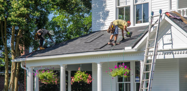 Best Roof Leak Repair  in Trinity, NC
